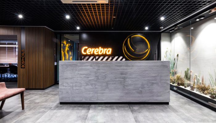 cerebra-cpas-advisors-offices-istanbul-5-700x464